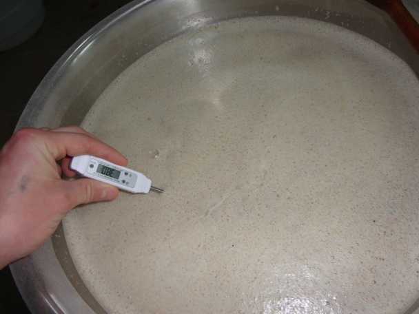 Domáce pivo (fotorecept) - obrázok 7