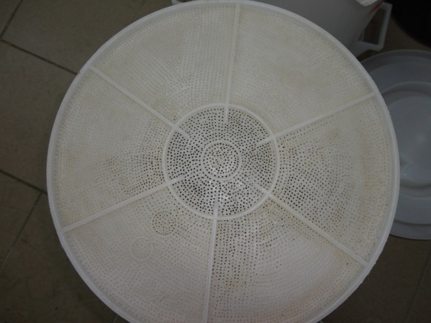 Domáce pivo pokračovanie (fotorecept) - obrázok 1