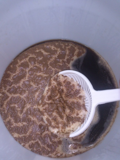 Domáce pivo pokračovanie (fotorecept) - obrázok 9