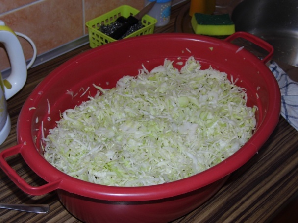 Kvasená kapusta (fotorecept) - obrázok 4