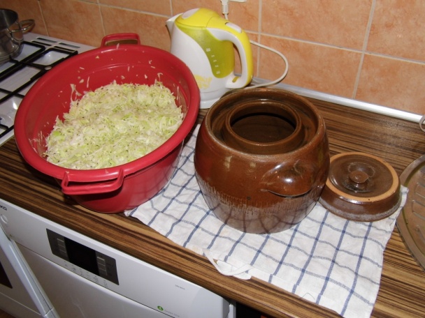 Kvasená kapusta (fotorecept) - obrázok 5