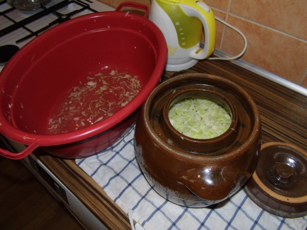 Kvasená kapusta (fotorecept) - obrázok 6