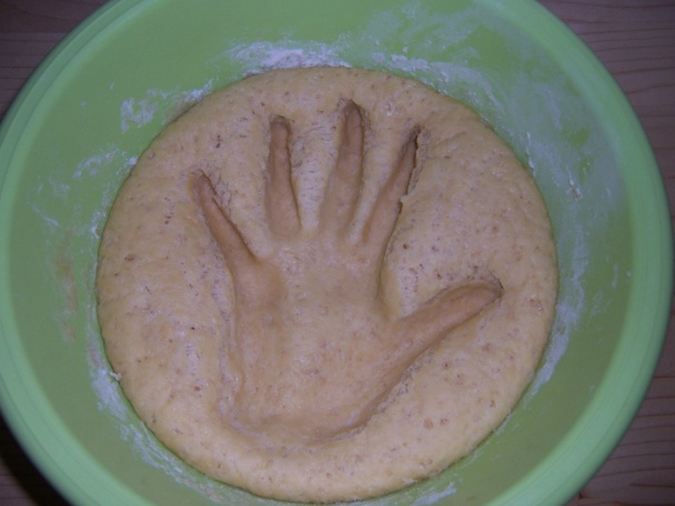 Škoricové osie hniezda - slimáčiky (fotorecept) - obrázok 3