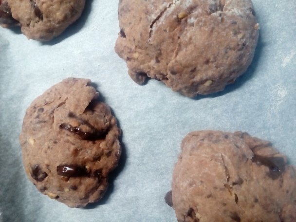 Čokosky bez cukru (fotorecept) - obrázok 7