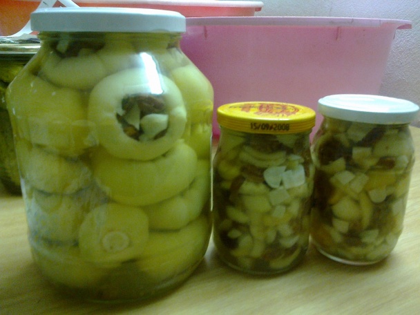 Cesnak, hrozienka a jabĺčková paprika - obrázok 8