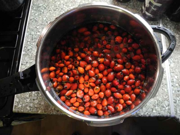 Šípkový džem, ktorý nepichá (fotorecept) - obrázok 1