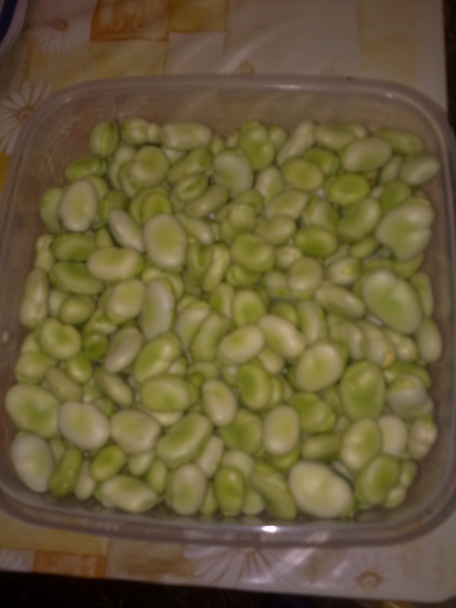 Bôbová praženica (fotorecept) - obrázok 2