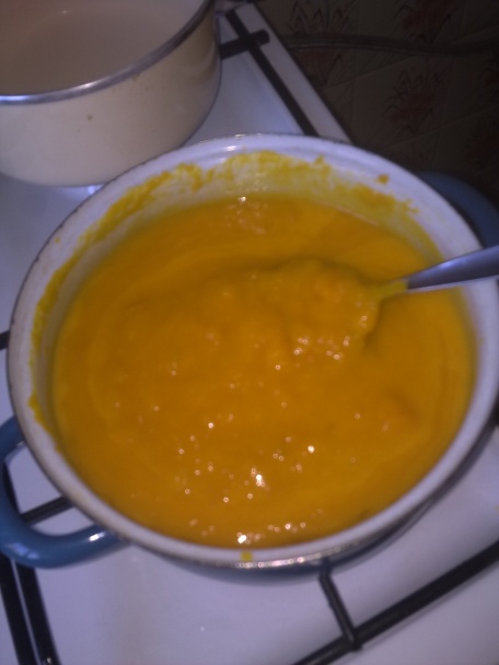 Jesenná nepečená tortička (fotorecept) - obrázok 1