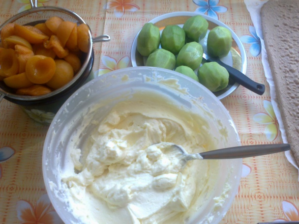 Ovocný tunel (fotorecept) - obrázok 3