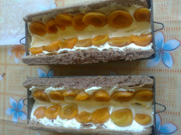 Ovocný tunel (fotorecept) - obrázok 5