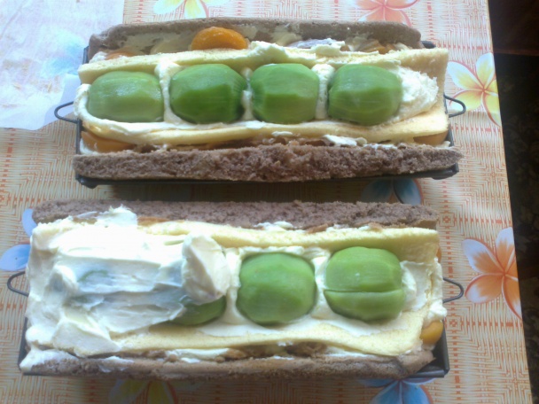 Ovocný tunel (fotorecept) - obrázok 7