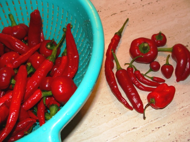 Domáci Eros Pista (papriková pasta) fotorecept - obrázok 1