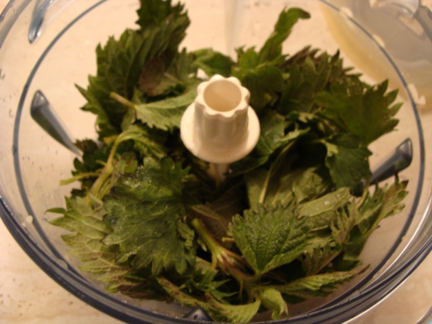 Žihľavové cestoviny - obrázok 1