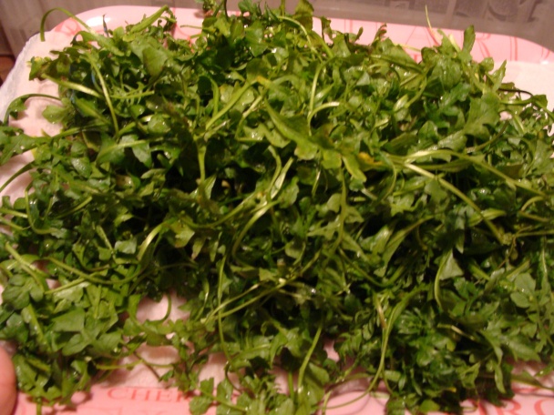 Mrazenie balíčkov zeleniny - obrázok 1