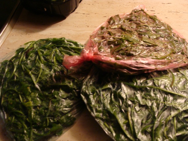 Mrazenie balíčkov zeleniny - obrázok 2