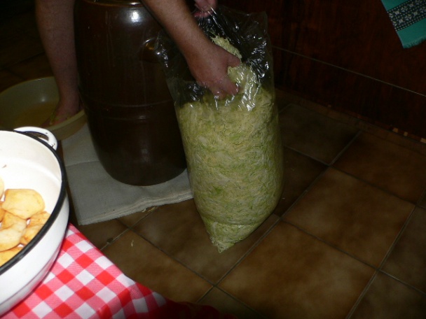 Kvasená kapusta a juška (fotorecept) - obrázok 5