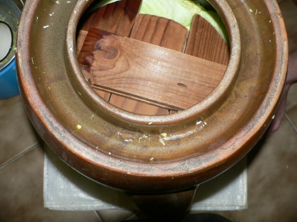 Kvasená kapusta a juška (fotorecept) - obrázok 10