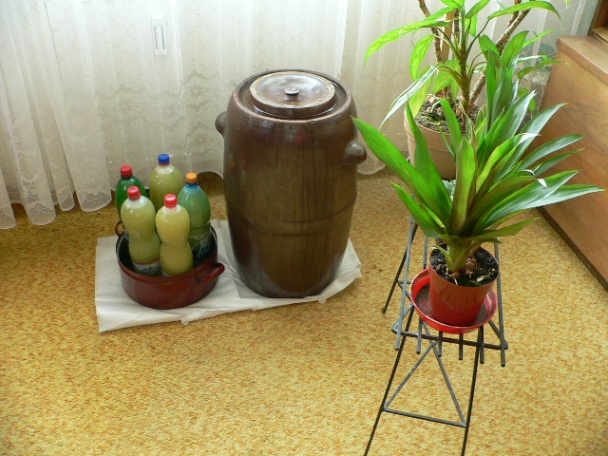 Kvasená kapusta a juška (fotorecept) - obrázok 13