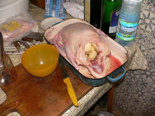 Pečená koncoročná kačka - obrázok 3