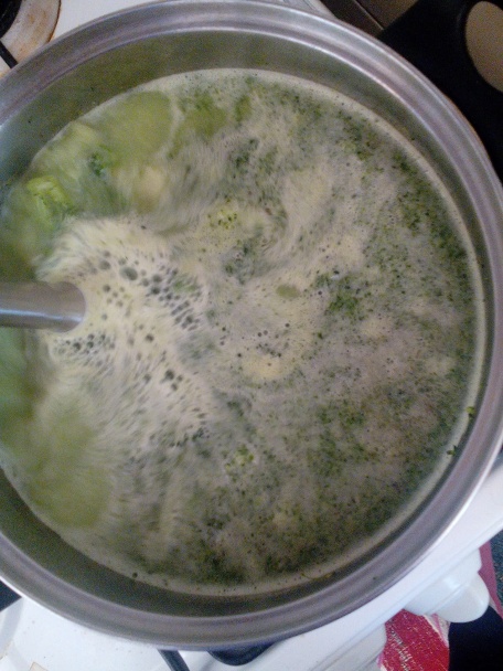 Brokolicová polievočka (fotorecept) - obrázok 4