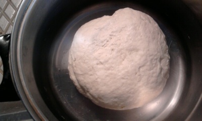 Domáci seitan (fotorecept) - obrázok 2