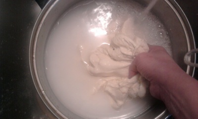 Domáci seitan (fotorecept) - obrázok 4