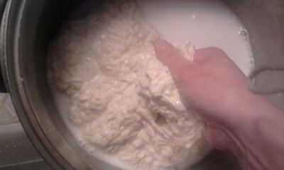 Domáci seitan (fotorecept) - obrázok 5