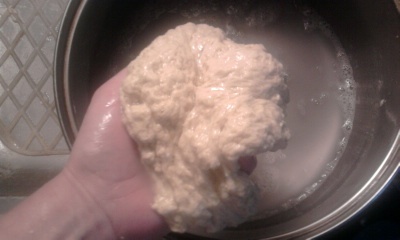 Domáci seitan (fotorecept) - obrázok 6