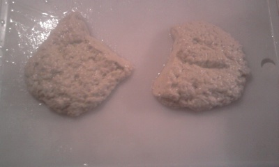 Domáci seitan (fotorecept) - obrázok 7