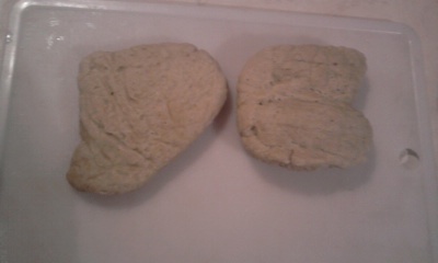 Domáci seitan (fotorecept) - obrázok 9