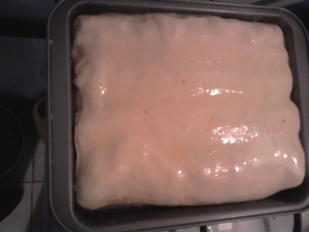 Schované záviny ( fotorecept ) - obrázok 8