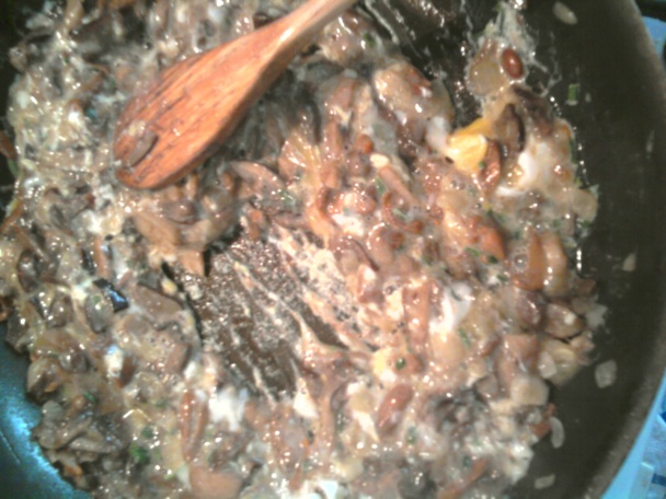 Pangasius s hubami (fotorecept) - obrázok 5