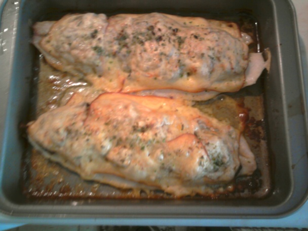 Pangasius s hubami (fotorecept) - obrázok 8