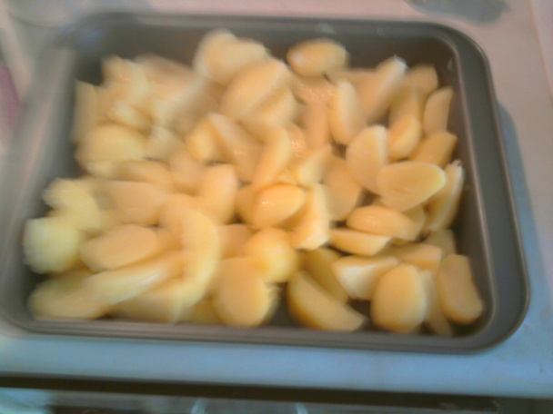 Pangasius s hubami (fotorecept) - obrázok 9