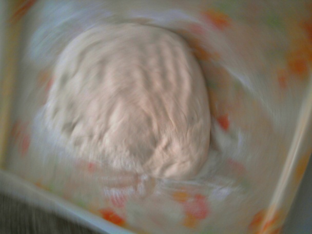 Plnený krokodíl :-)))  (fotorecept) - obrázok 3