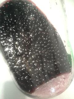 Čučoriedkový likér (fotorecept) - obrázok 5