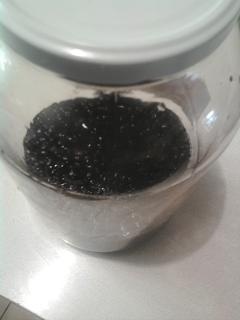 Čučoriedkový likér (fotorecept) - obrázok 2