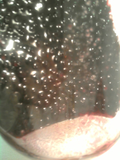 Čučoriedkový likér (fotorecept) - obrázok 6