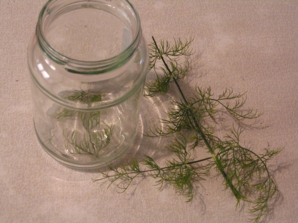 Zaváraná tekvica na prívarok (fotorecept) - obrázok 4