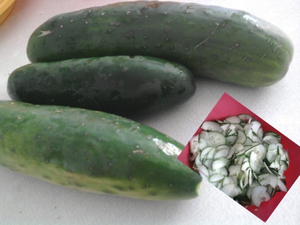 Bulharský šalát (fotorecept) - obrázok 1