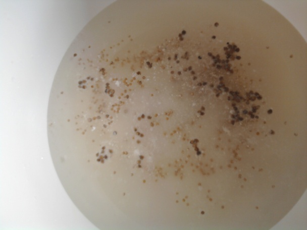 Bulharský šalát (fotorecept) - obrázok 6