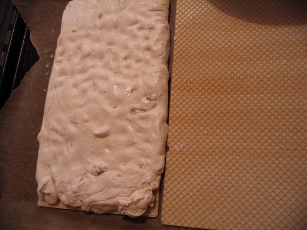 Torroni (fotorecept) - obrázok 10