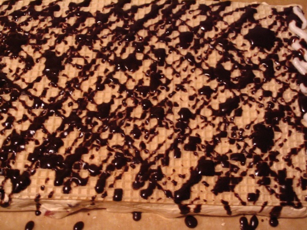 Torroni (fotorecept) - obrázok 17