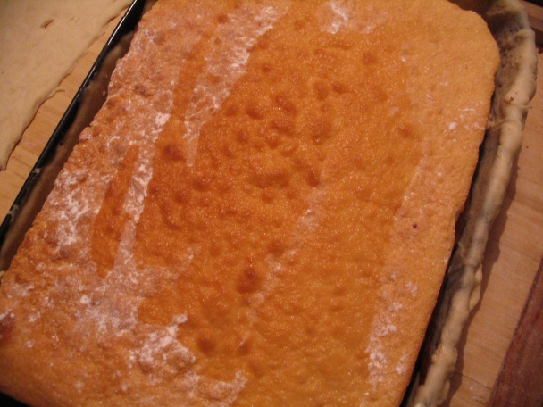 MAXI- Štedrák-netradičný (fotorecept) - obrázok 24