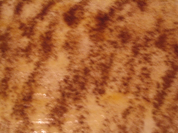 Osie hniezda - v inej podobe (fotorecept) - obrázok 5