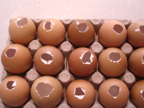 Sladké vajíčka zo škrupinky (fotorecept) - obrázok 1