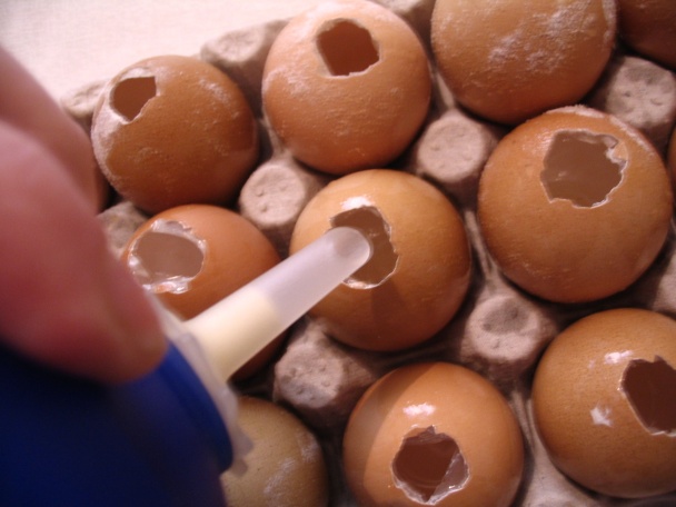 Sladké vajíčka zo škrupinky (fotorecept) - obrázok 3