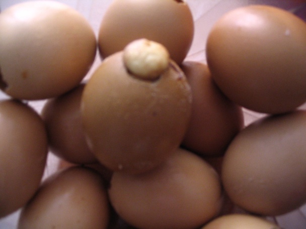 Sladké vajíčka zo škrupinky (fotorecept) - obrázok 6