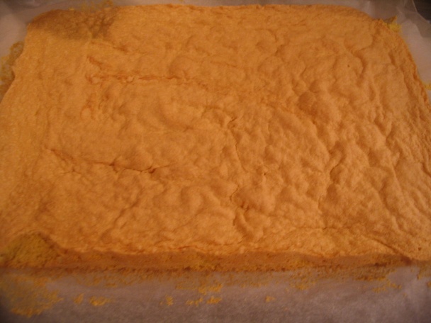 Pomarančová neha (fotorecept) - obrázok 6