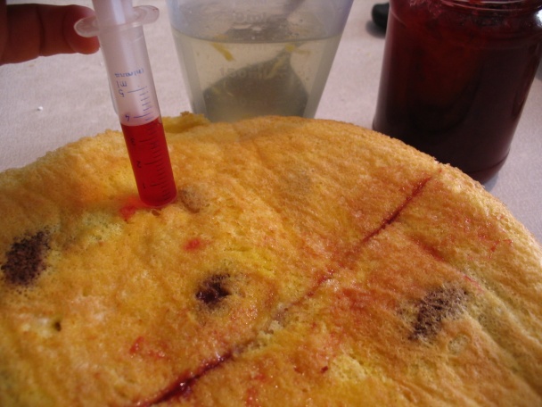 Torta rýchlovka (fotorecept) - obrázok 13